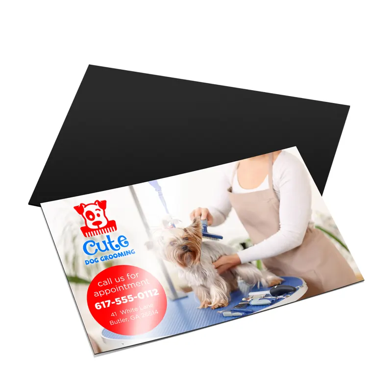 Business card magnets